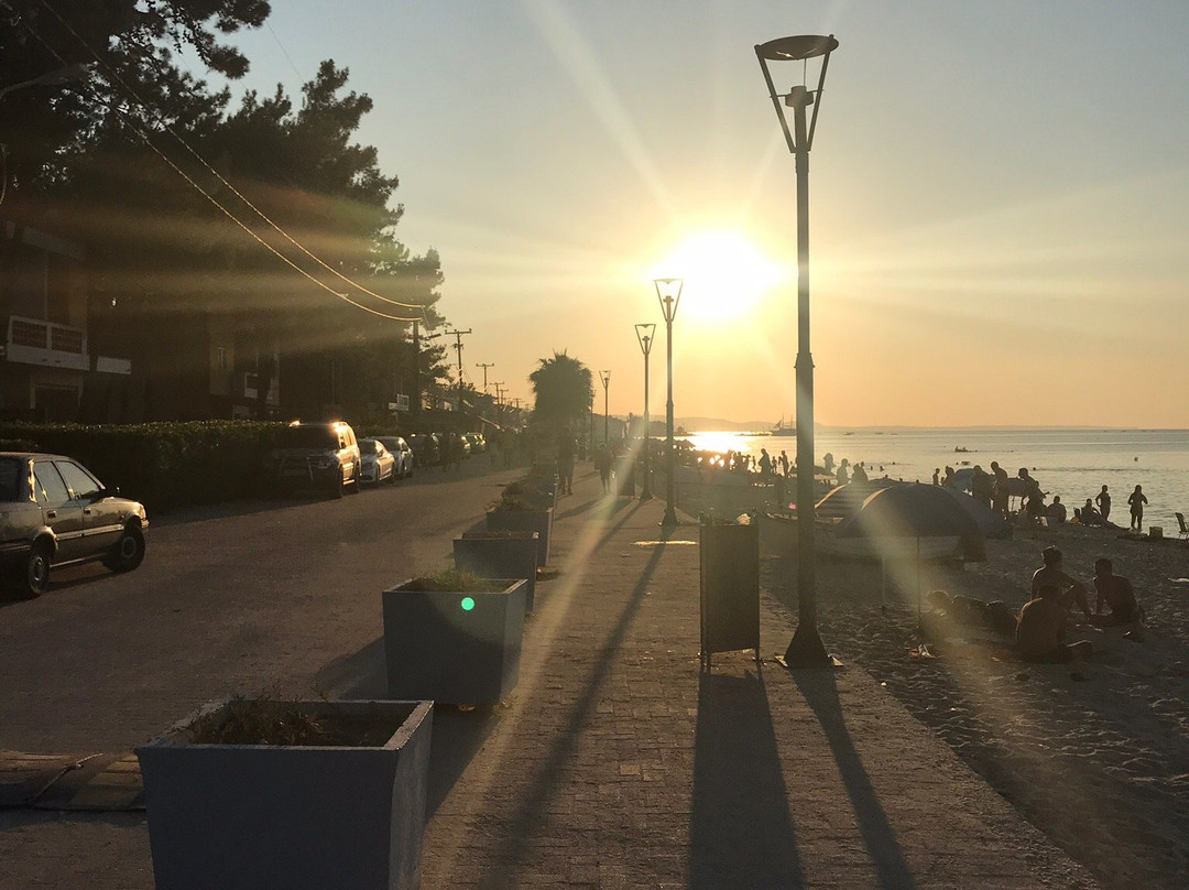 Akrotiri Beach Bar景点图片