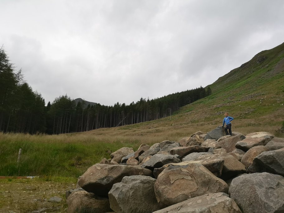 Corrie Fee National Nature Reserve景点图片