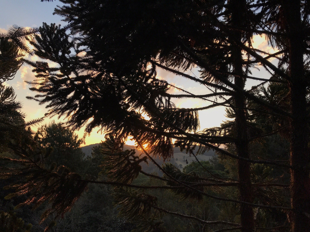 Alive Eco Hut Pousada主图