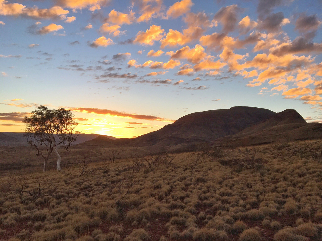 Mount Bruce-Karijini National Park必去景点