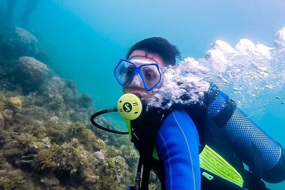 Steve Davies Dive Shop-Ponson Island必去景点