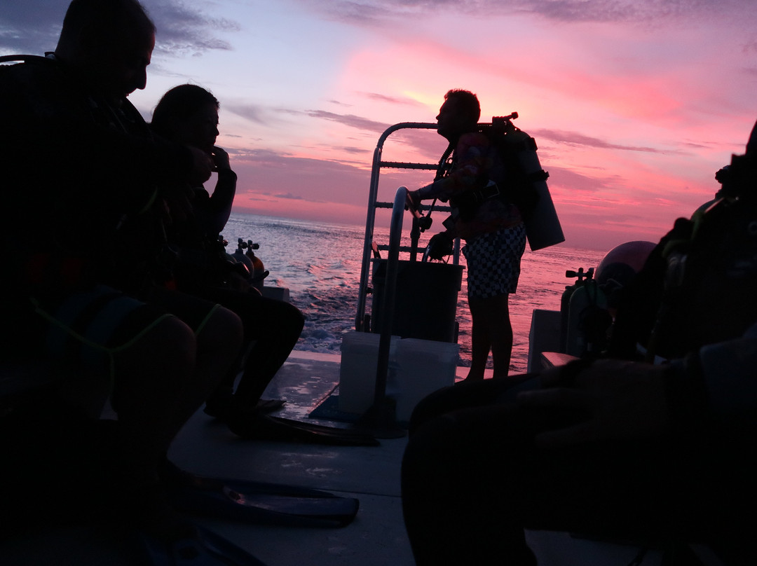 Paradise (Paraiso) Reef-考祖梅必去景点