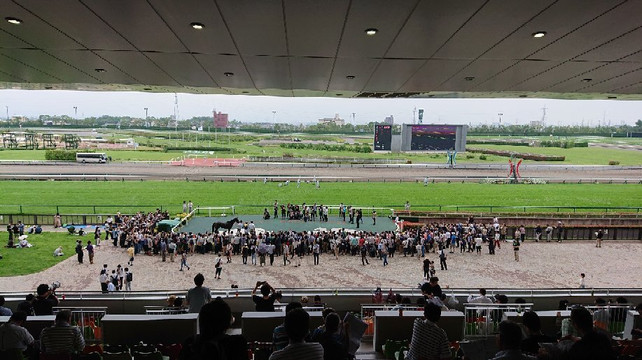 Chukyo Horse Race Track-丰明市必去景点