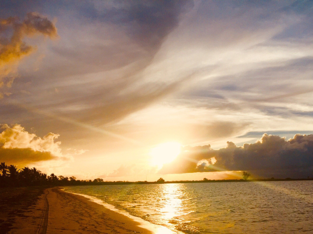 La Gran Ceiba de Vieques-维切克岛必去景点