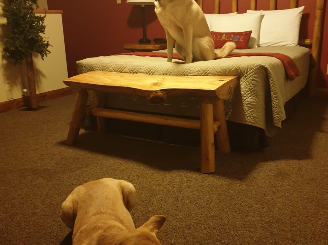 Northwoods Lodge主图