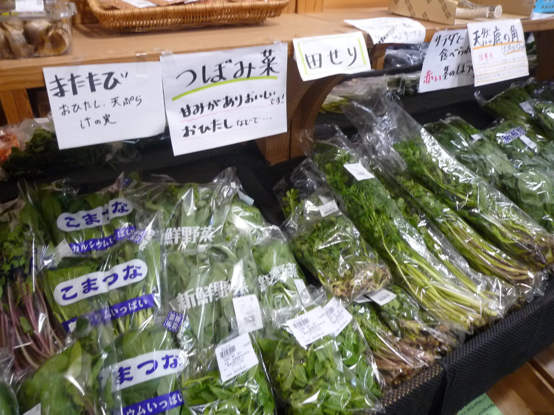 Tsuyama Michi-no-Eki-登米市必去景点