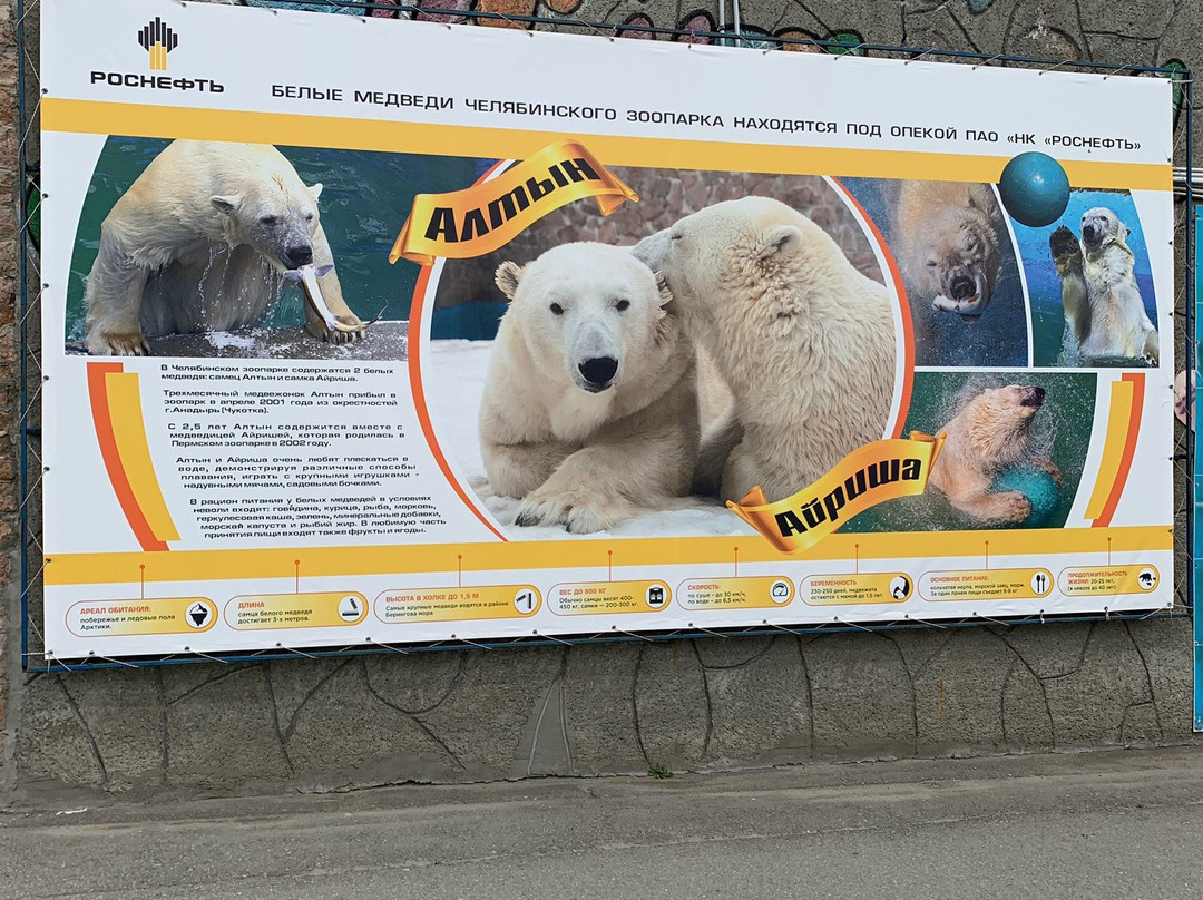 Chelyabinsk Zoo-车里雅宾斯克必去景点