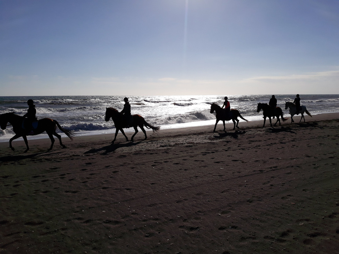 Picadero de Cabrillas景点图片