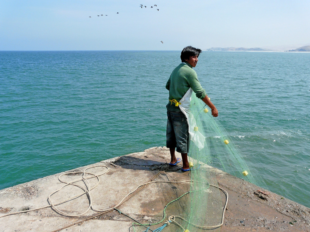Muelle de Cerro Azul-Cerro Azul必去景点