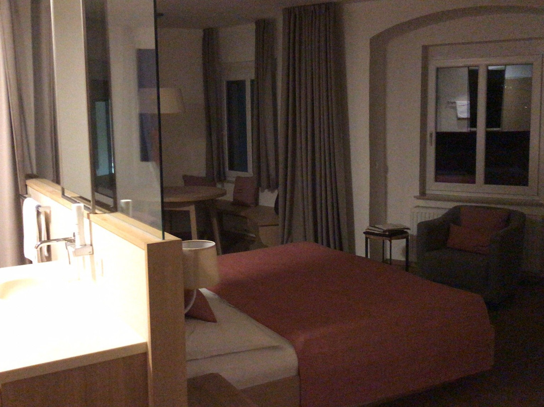 Seehotel Schwan主图