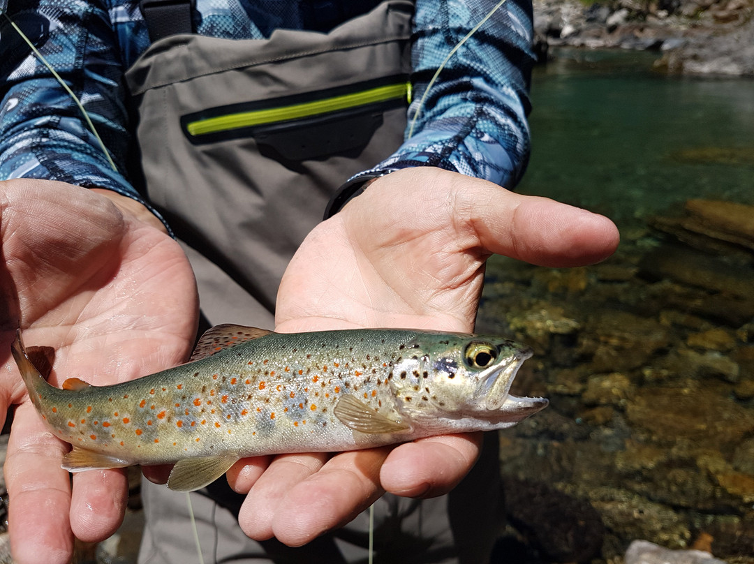 Pyrenees Fly Fishing景点图片