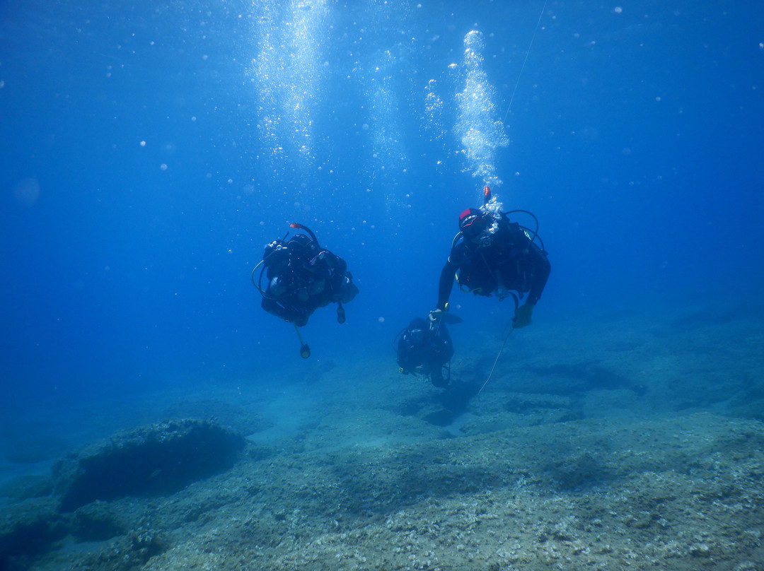 Phoenix Dive Club景点图片