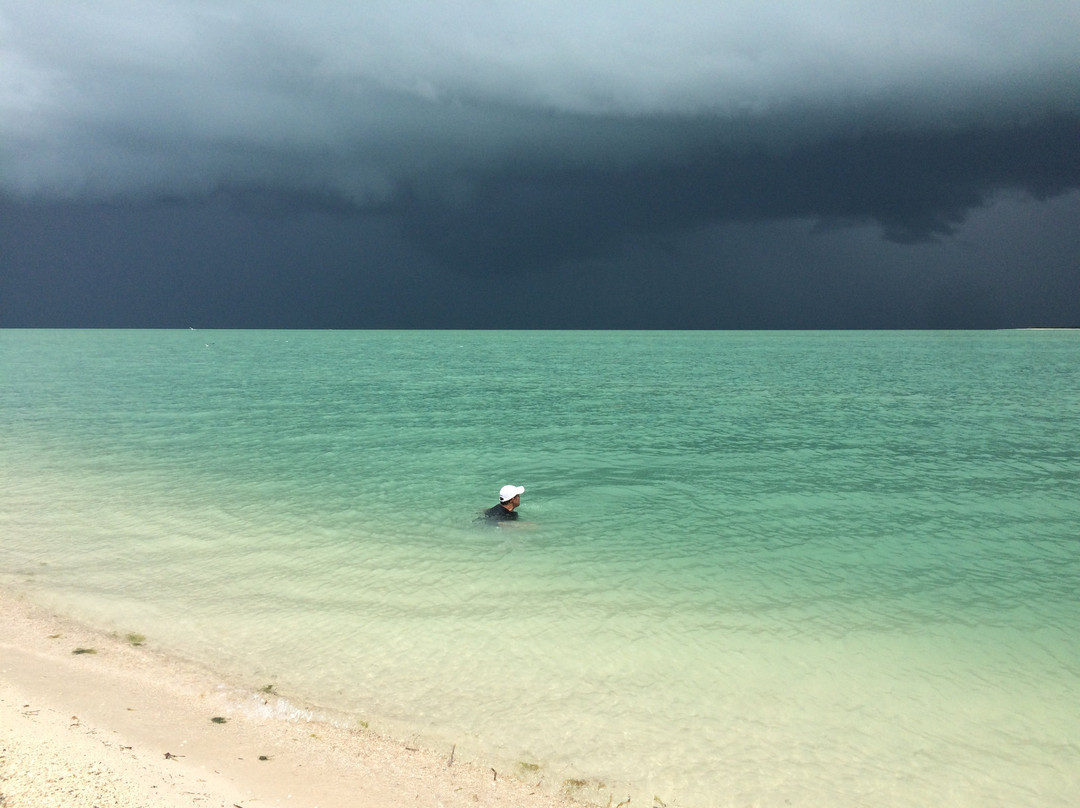 Playa Punta San Julian-卡门城必去景点