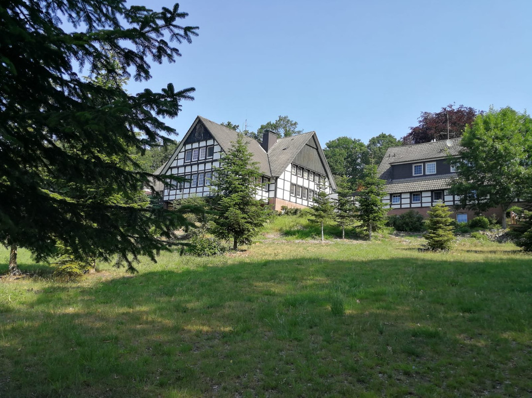 Hotel Niedersachsischer Hof主图