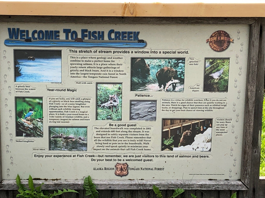 King Edward Hotel & Motel主图