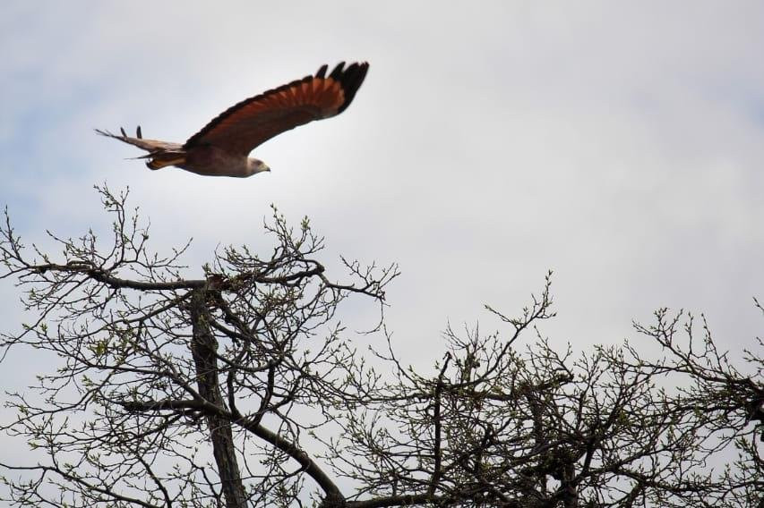 Alter Beach Turismo-Alter do Chao必去景点