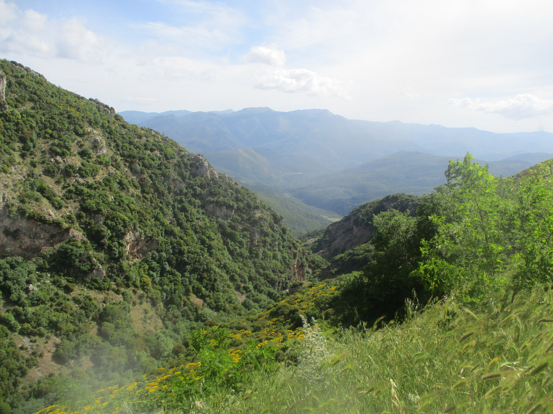Lousios Gorge-Arkadia Region必去景点