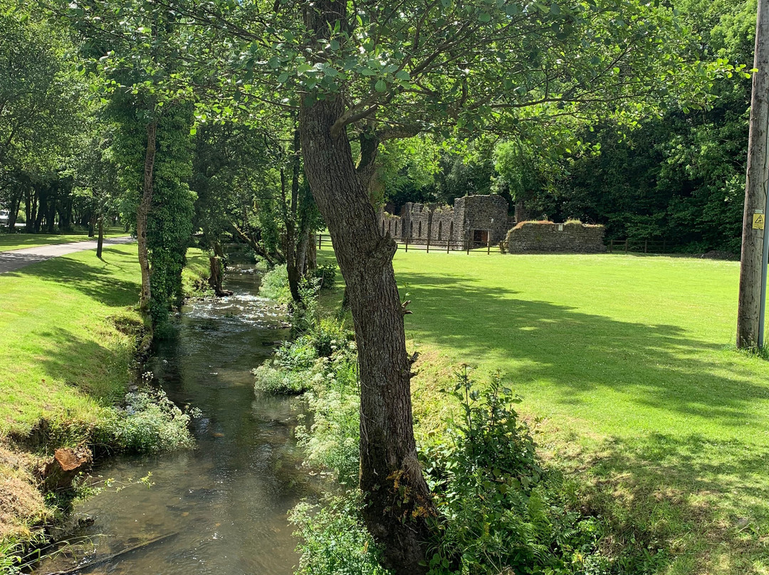 Mill House Caravan Park主图