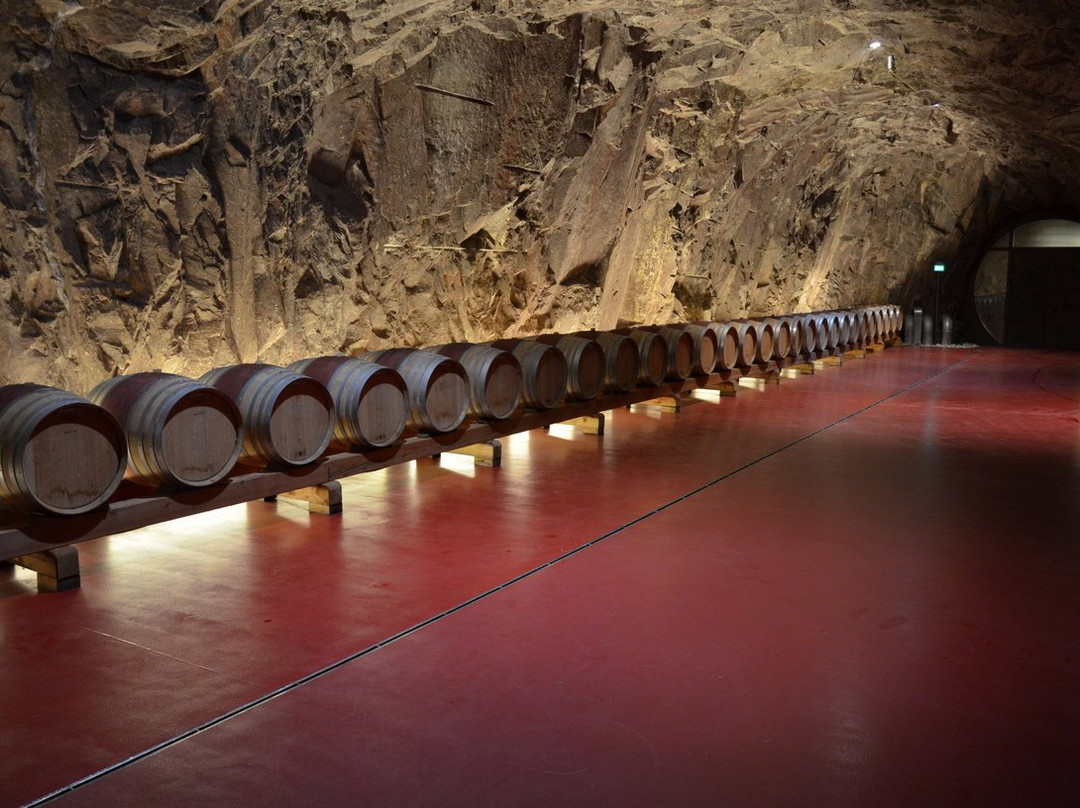 Landesweingut Laimburg景点图片