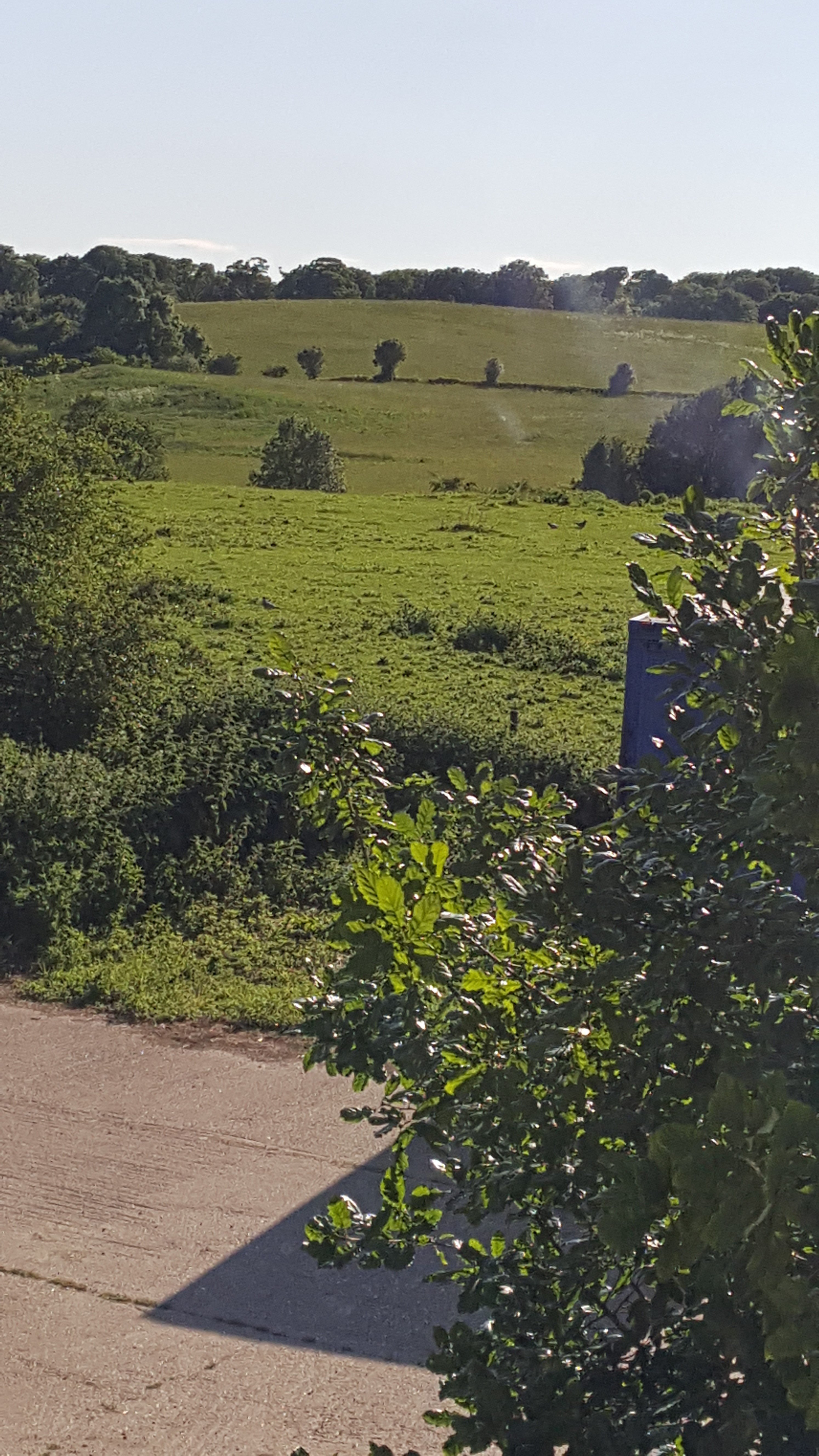 The Old School Bed & Breakfast-浴室