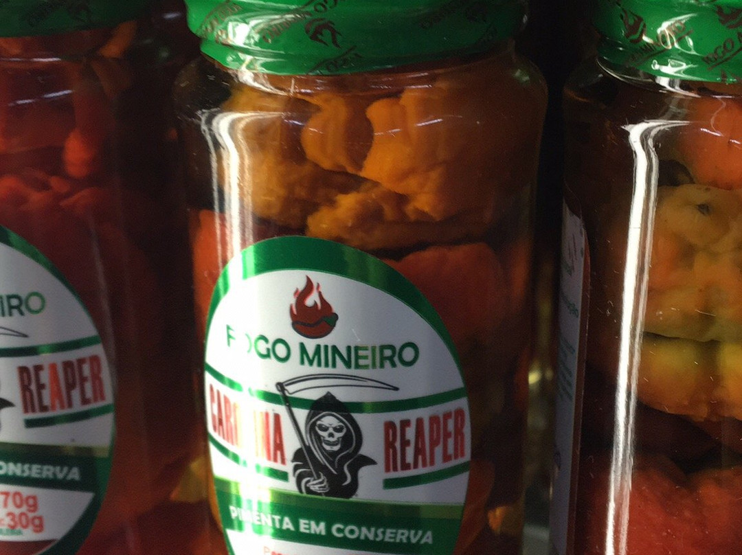 Bar do Marcelo & Goncalvinhos-Goncalves必去景点