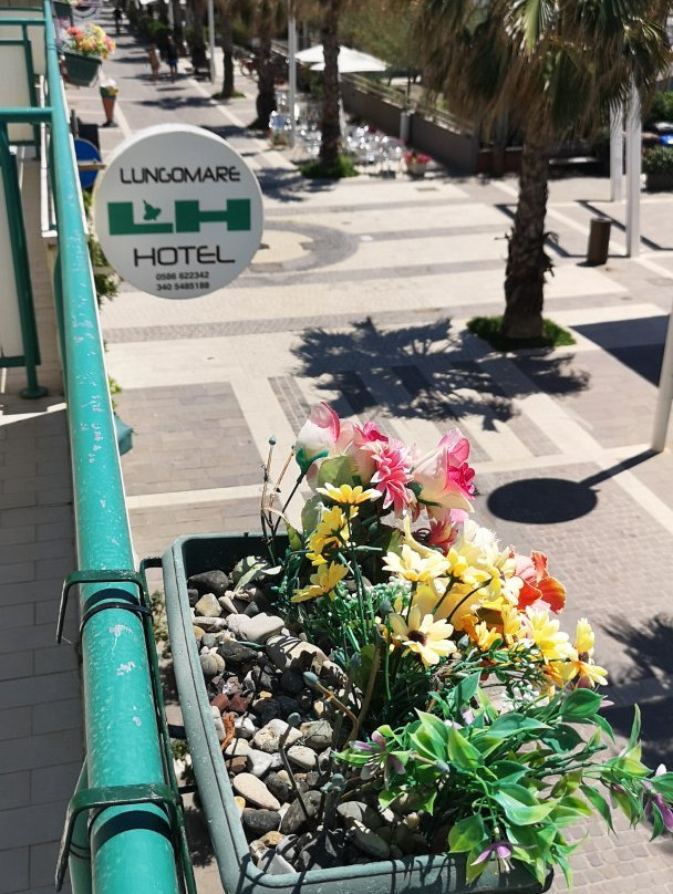 Lungomare Hotel主图