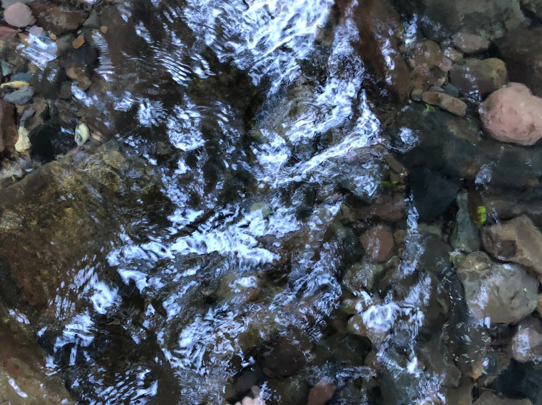 Cirenaica Canyon-Treviso必去景点