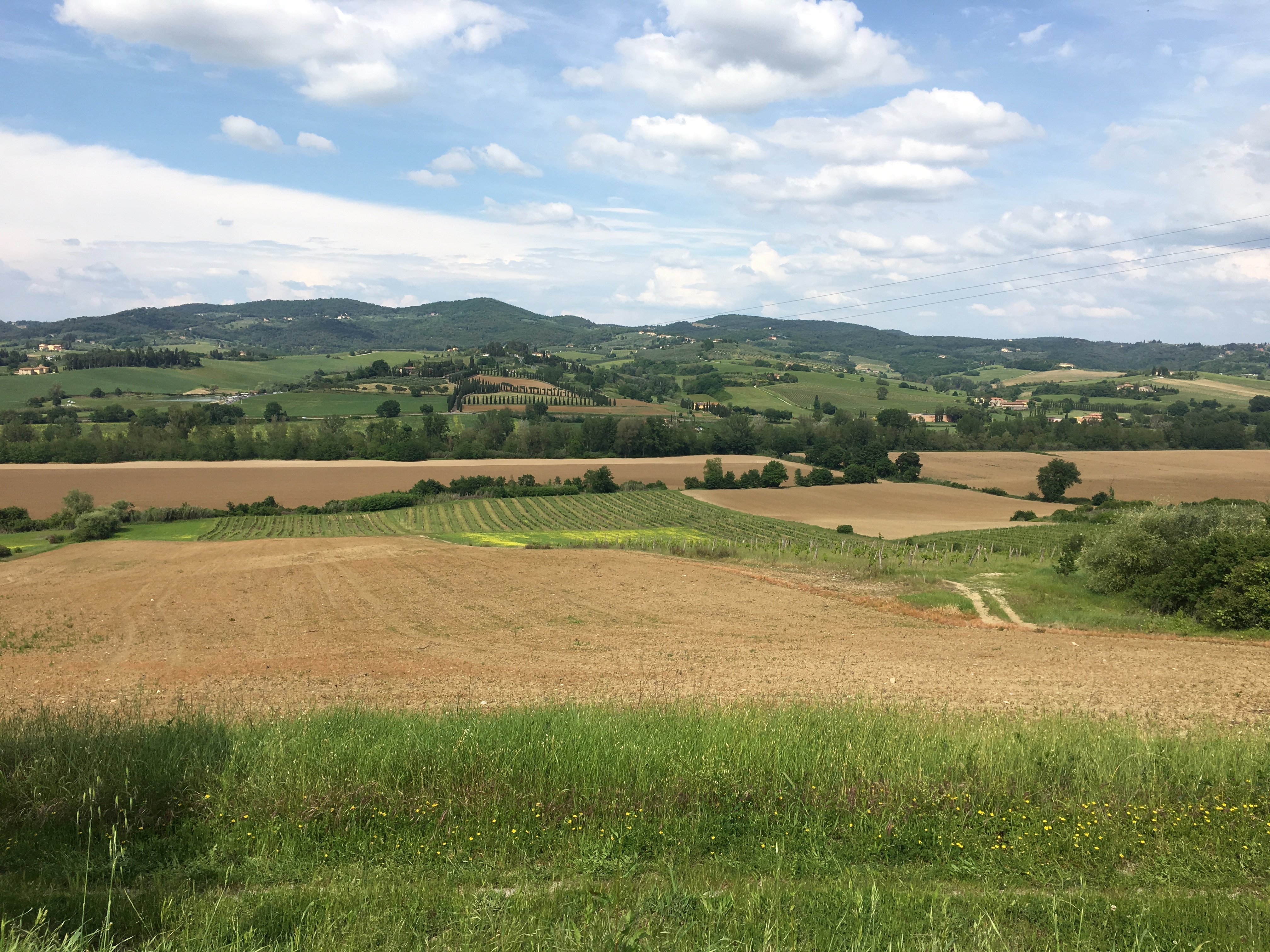 Podere Torricella-官方