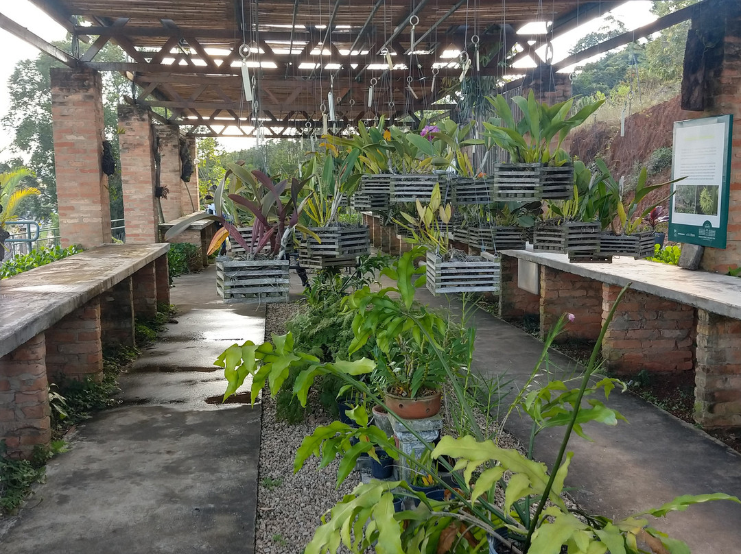 Jardim Botanico Irmaos Vilas Boas-索罗卡巴必去景点