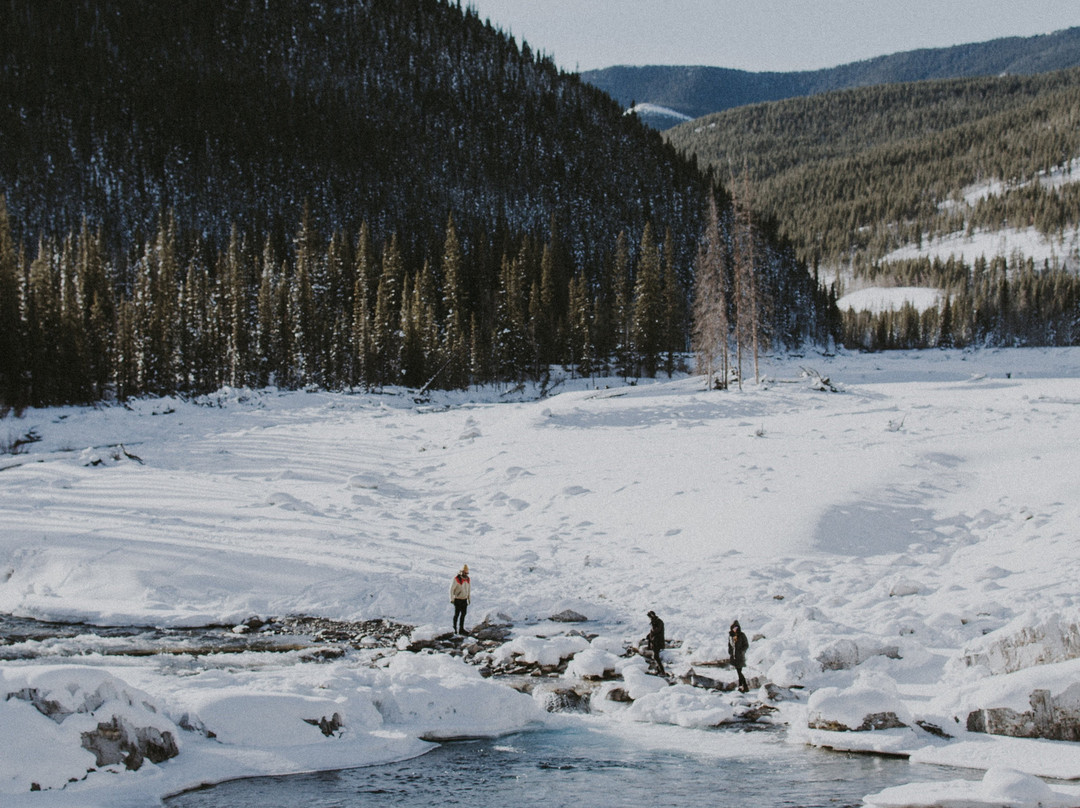 Elbow Falls Provincial Recreation Area景点图片