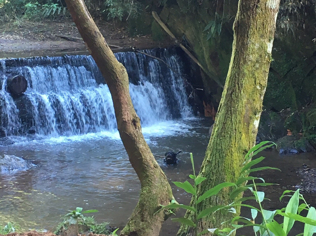 Parque Ecológico Rego dos Carrapatos景点图片