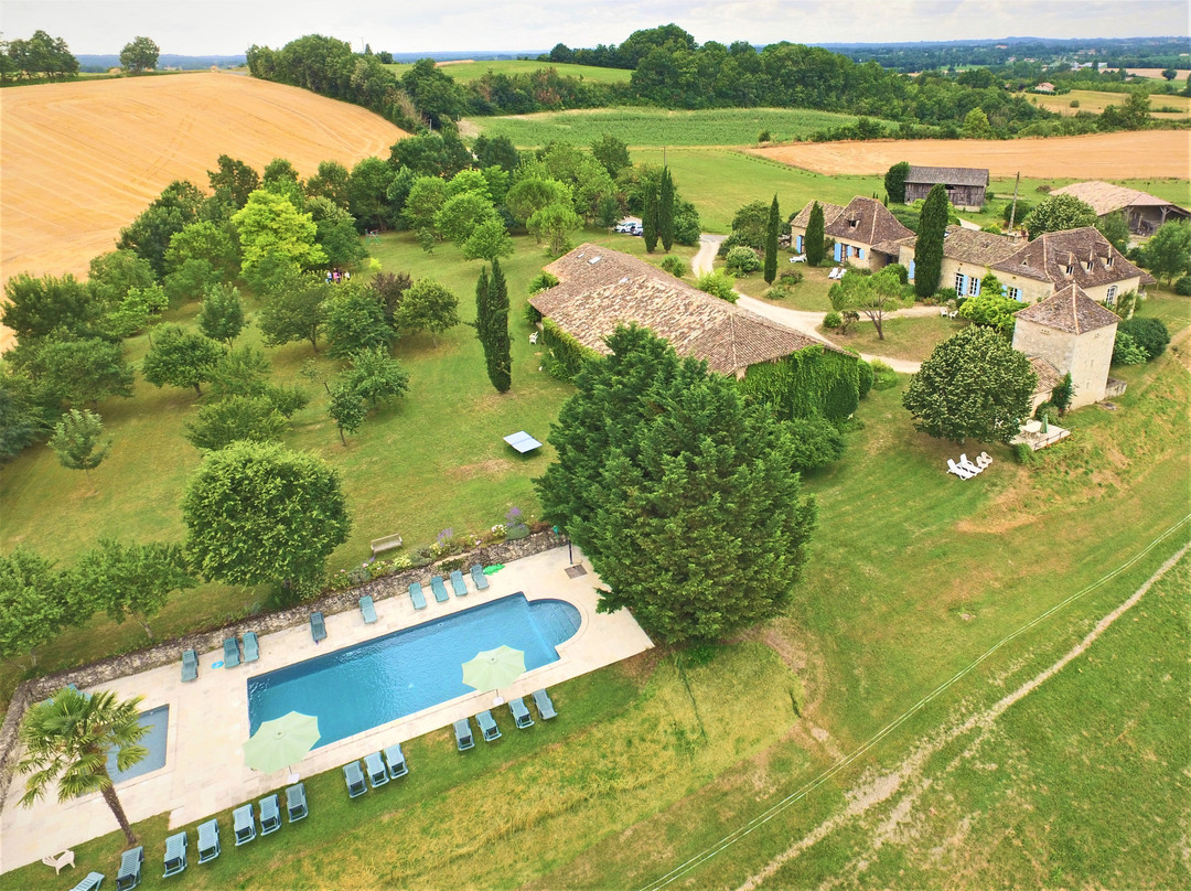 Le Figuier