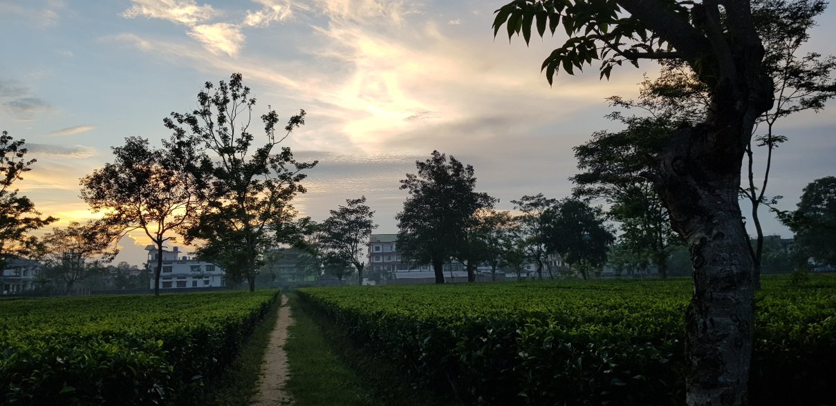 Hotel Aatreyee-官方