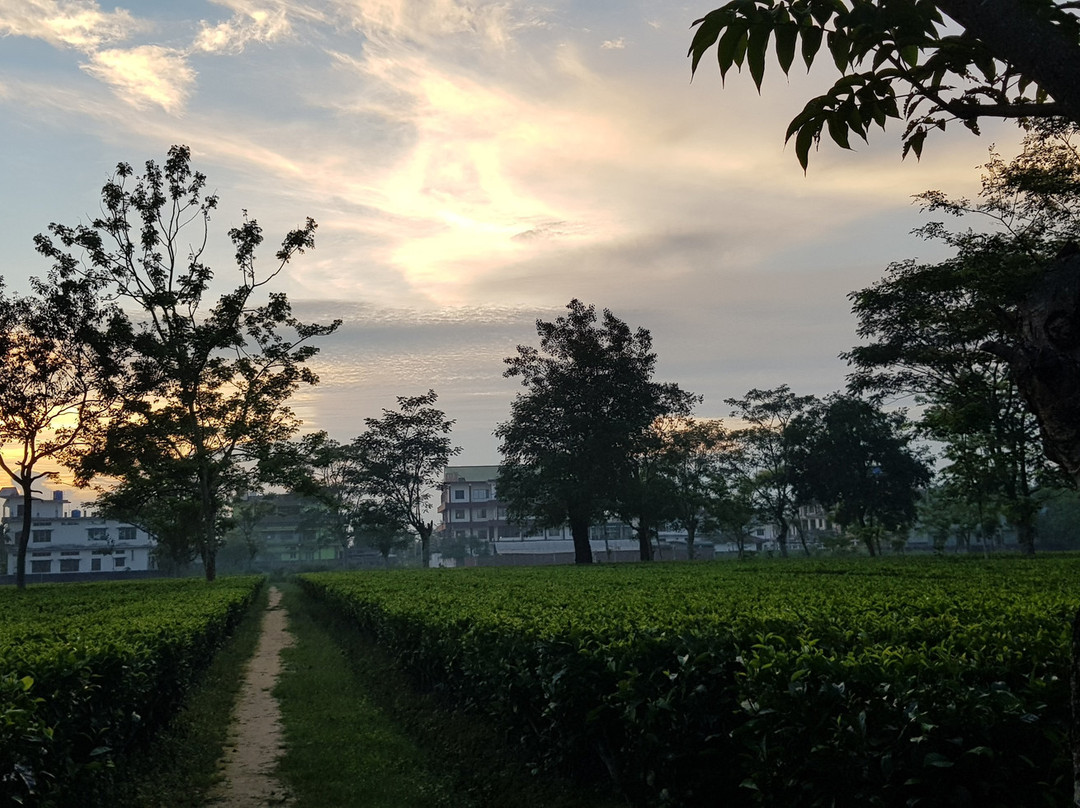 Hotel Aatreyee主图