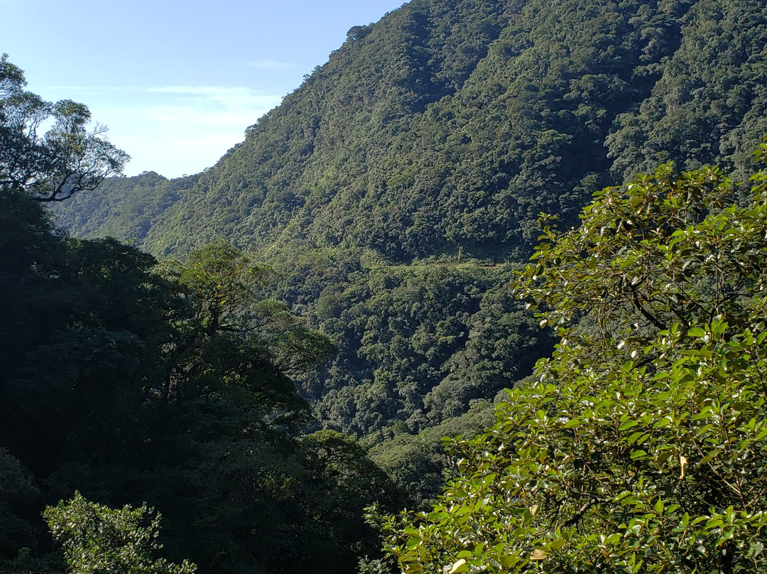 Parque Estadual do Marumbi-库里提巴必去景点