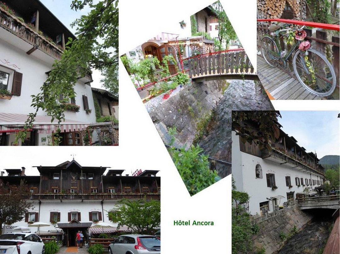 Hotel Ancora主图