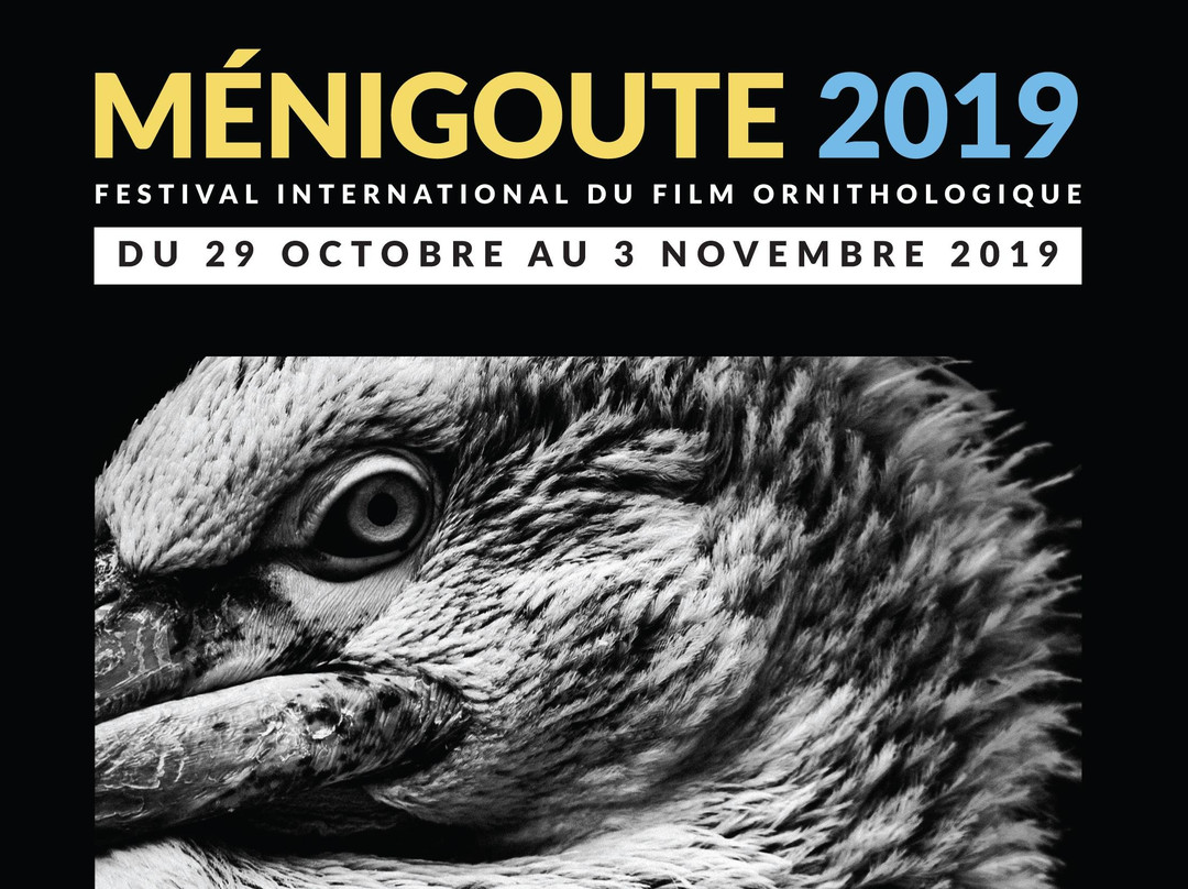 Festival International du Film ornithologique景点图片