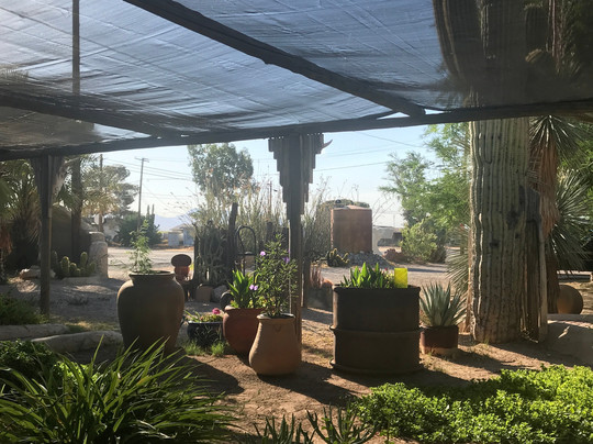 The Westward Motel主图