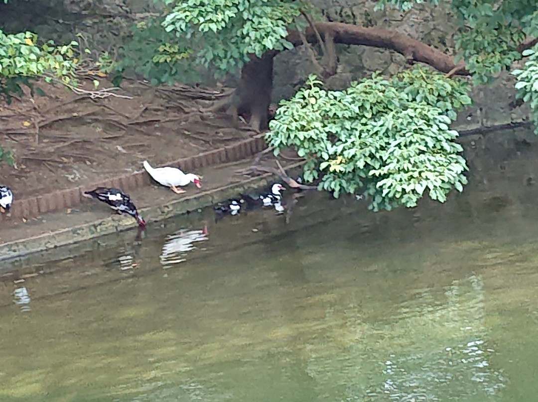龙潭-那霸市必去景点