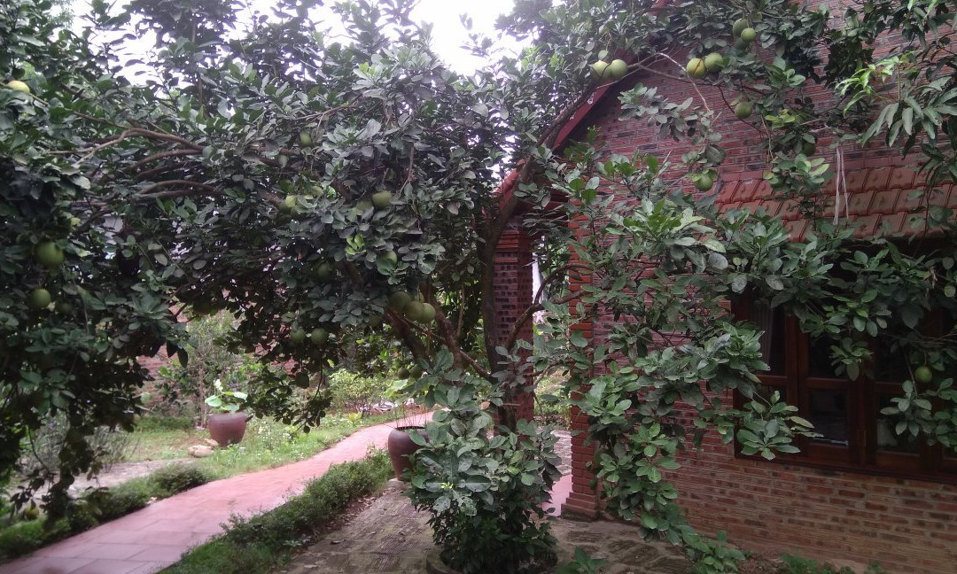 Ninh Binh Friendly Homestay主图