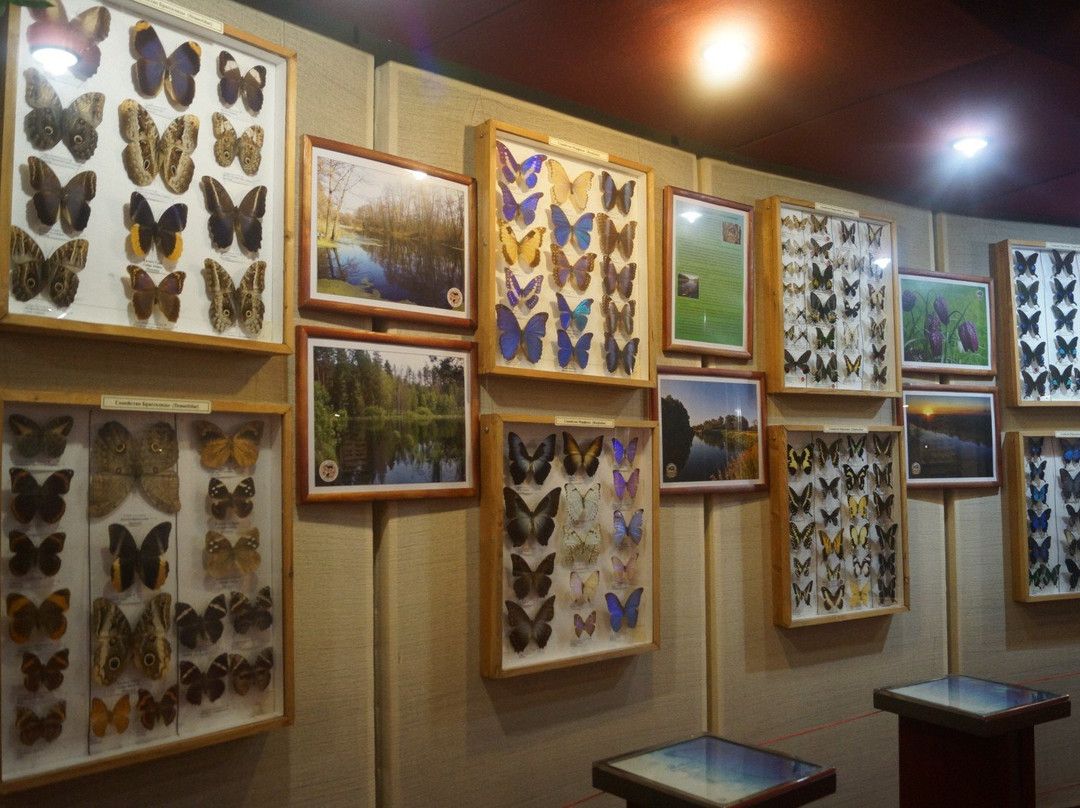 Voronezh Regional Local Lore Museum景点图片