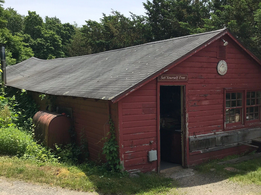 Whitlock's Book Barn-Bethany必去景点