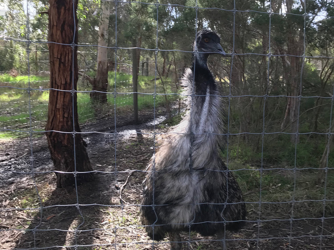 Bayles Fauna Reserve-Koo-Wee-Rup必去景点