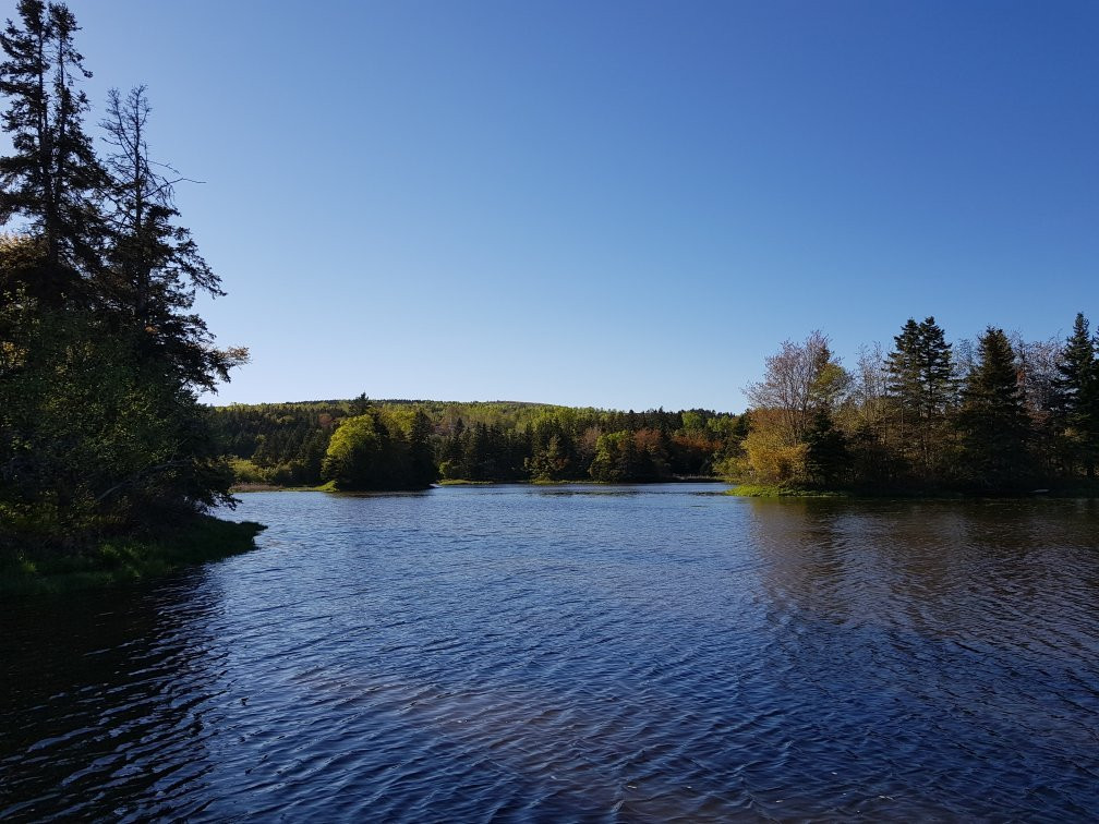 Antigonish Landing Trail-安蒂岗尼希必去景点