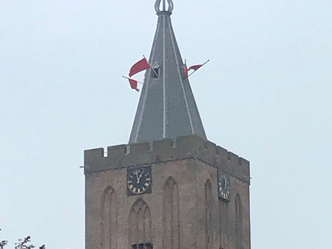 Grote Kerk景点图片