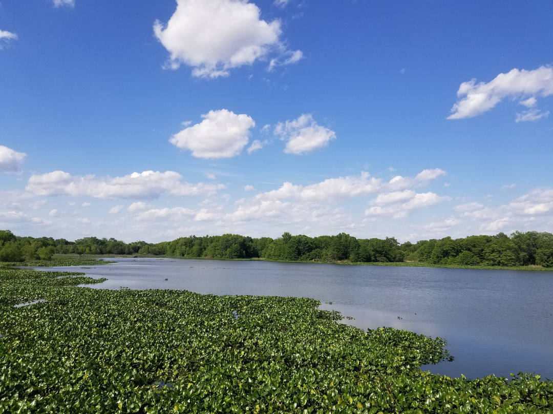 John Heinz National Wildlife Refuge at Tinicum景点图片