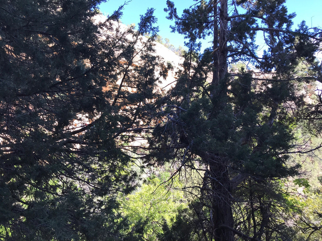 Mesa Verde Tour Experience景点图片