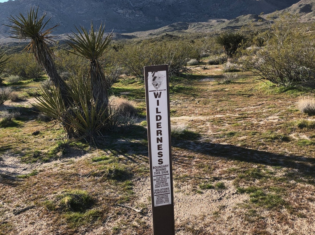 Christmas Tree Pass-拉芙琳必去景点