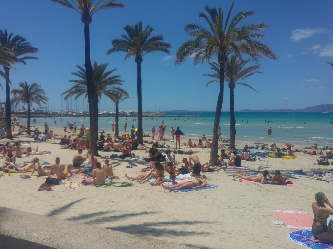 Hotel Ipanema Beach主图