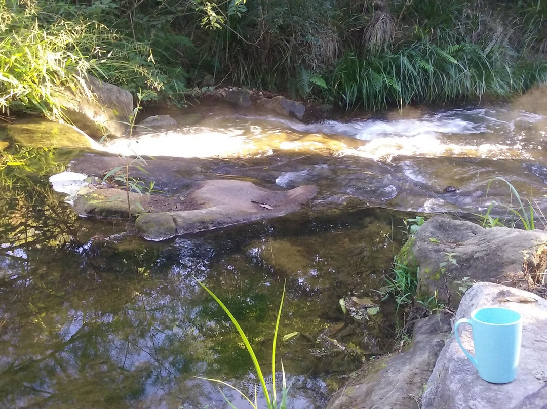 Nymboida Canoe Centre-Nymboida必去景点